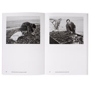 Tate Photography: Chris Killip